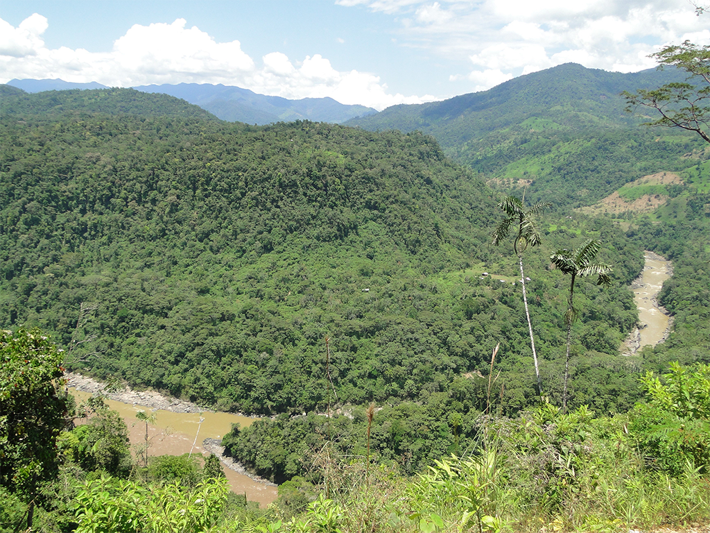 Nieuw reservaat in Ecuador beschermt miljoen hectare bos